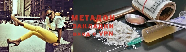 прущие грибы Наволоки