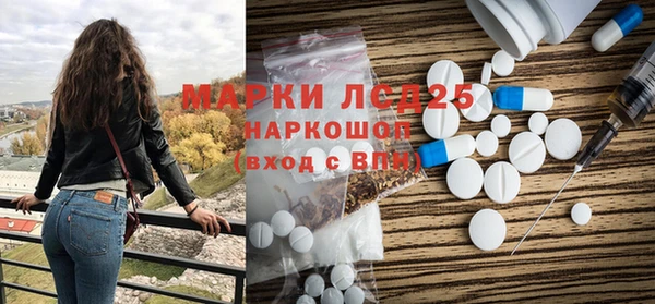 прущие грибы Наволоки
