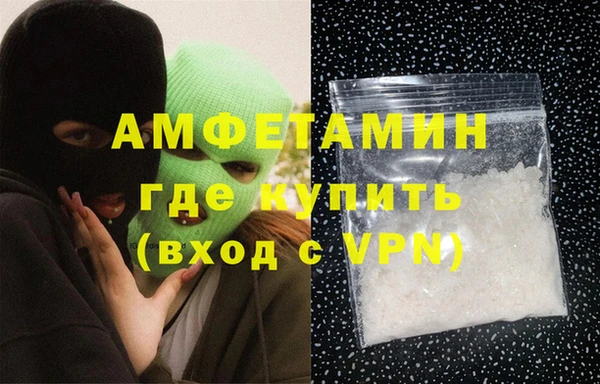 прущие грибы Наволоки