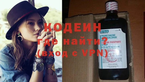 прущие грибы Наволоки