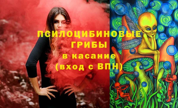 прущие грибы Наволоки