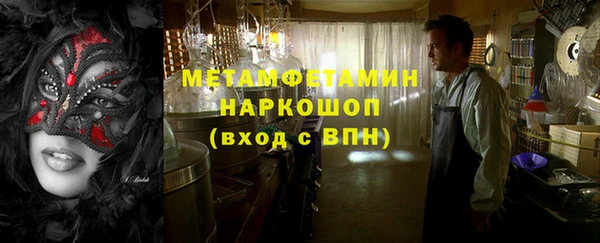 прущие грибы Наволоки