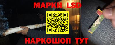 индика Можайск