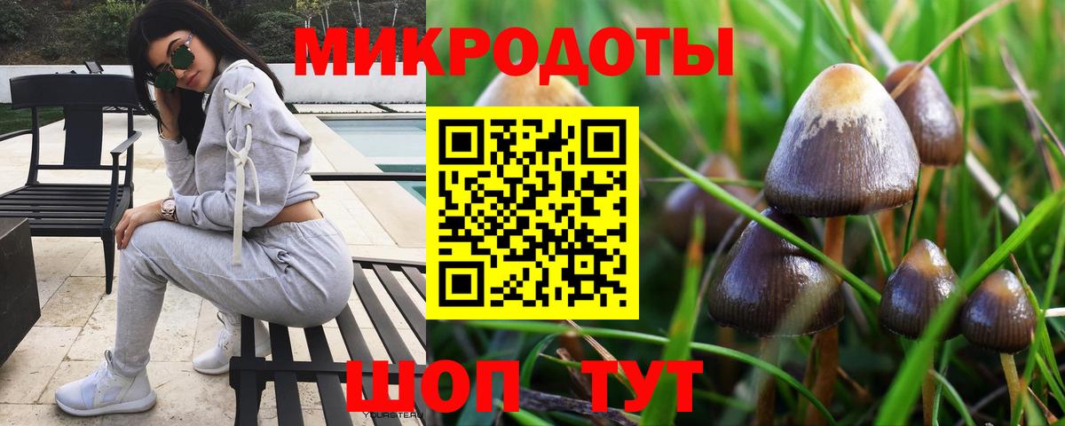 Псилоцибиновые грибы GOLDEN TEACHER  Галлюциногенные грибы MAGIC MUSHROOMS  Вход с VPN  Тихвин 