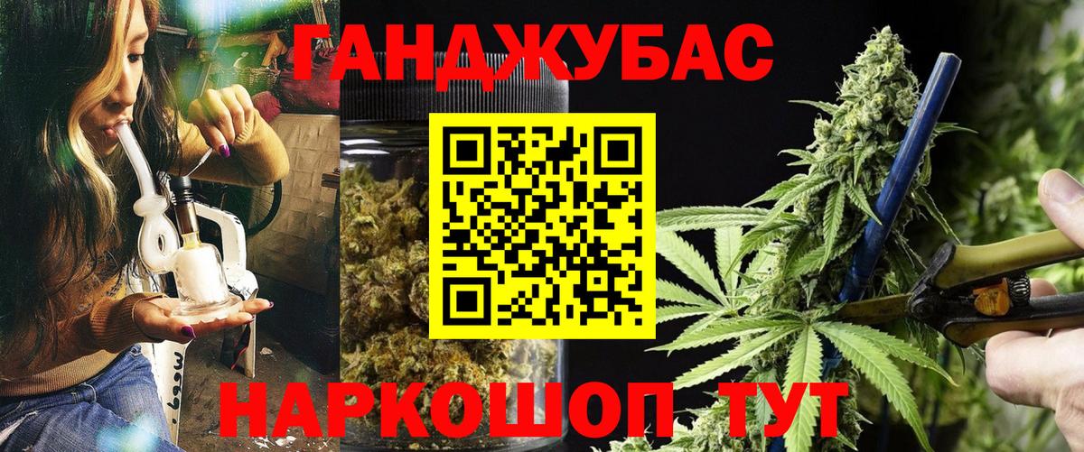 Бошки марихуана конопля  Канабис план  Вход с VPN  Тихвин 